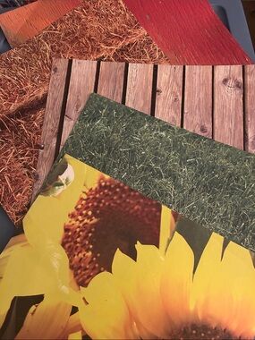 Farm Scrapbook Element Craft Paper Bundle in Red, Brown, Green